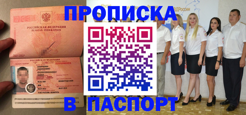 найти адрес прописки в Петропавловске-Камчатском